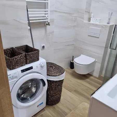 Apollo 博格泽利卡